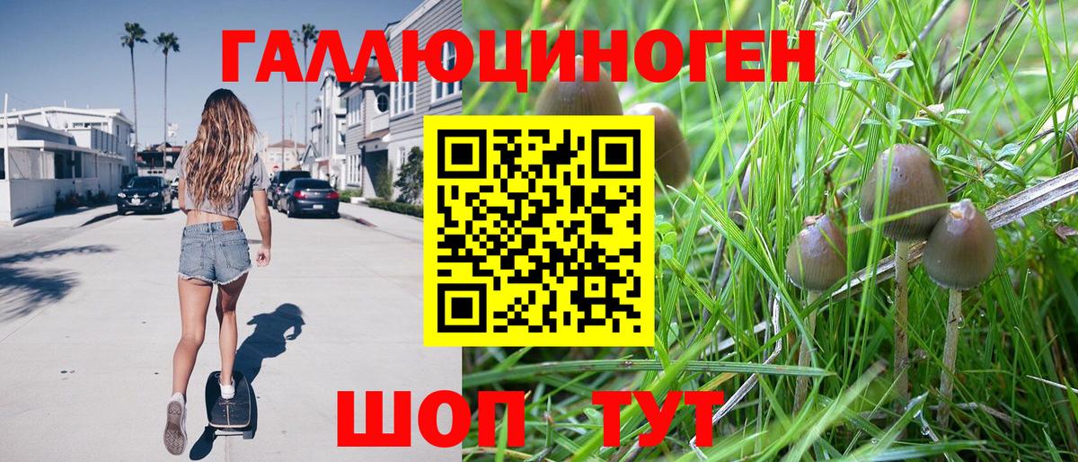 Галлюциногенные грибы ЛСД  Галлюциногенные грибы Magic Shrooms  Вход с VPN  где купить наркоту  Элиста 