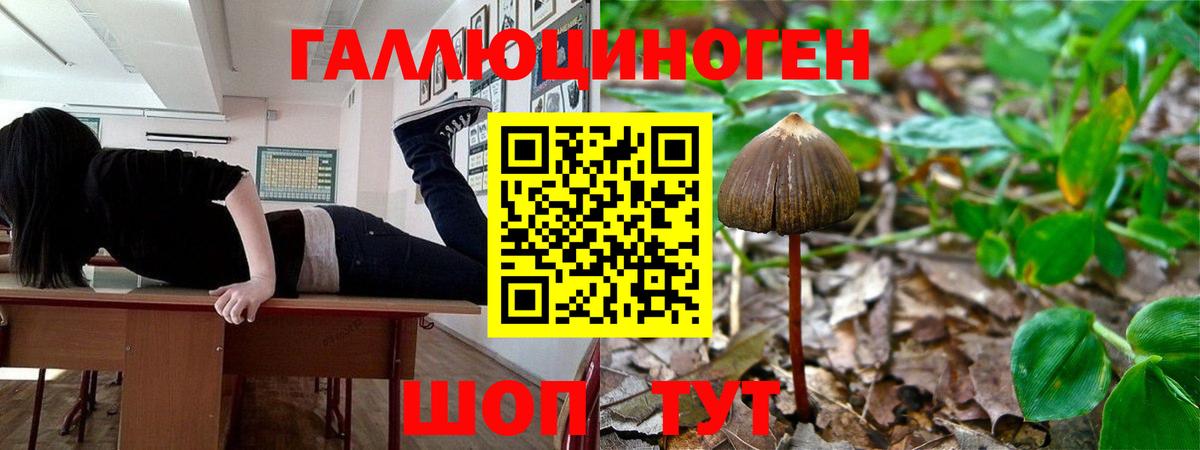 Галлюциногенные грибы прущие грибы Элиста
